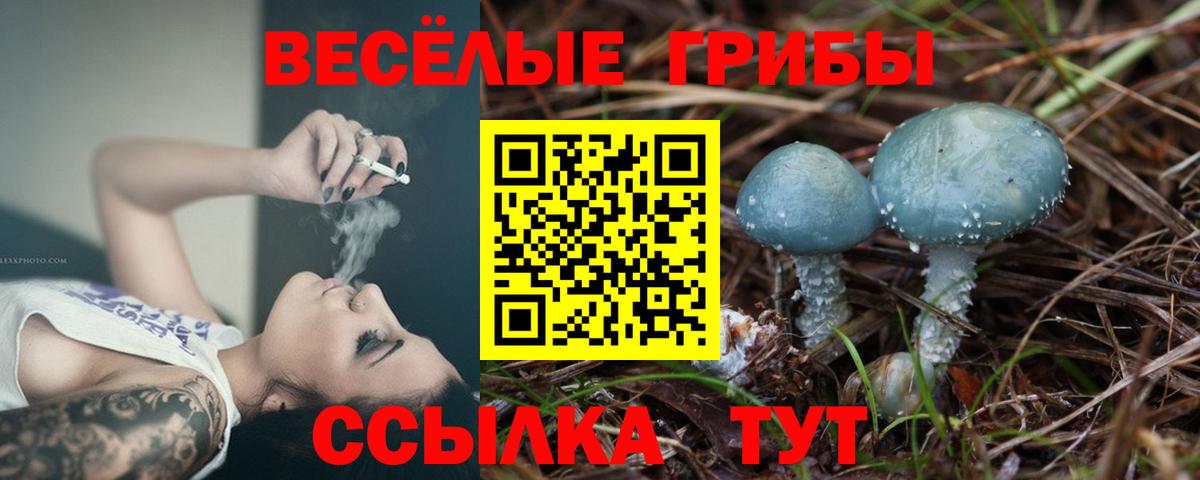 Волгоград  Галлюциногенные грибы Psilocybe  Вход с VPN 